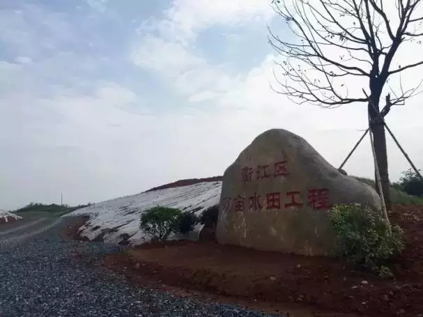 QQ图片20170114205617.png